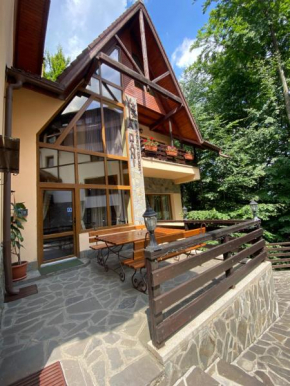 Vila Dani Sinaia